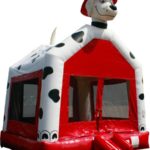 Anderson Party Rental Inflatables