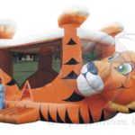 Anderson Party Rental Inflatables